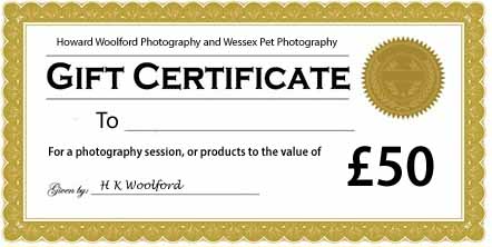 sample gift certificate for Ã‚Â£50